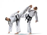 Swift Current Karate Club image 4